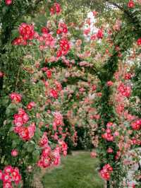 Longwood Gardens – A Living Canvas in Pennsylvania, USA