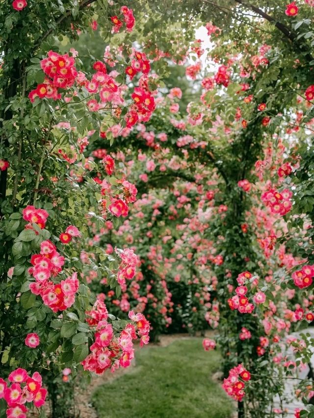 Longwood Gardens – A Living Canvas in Pennsylvania, USA