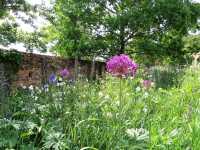 Sunshine, Secrets, and Blooms at Calke Abbey – A National Trust Gem