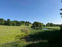 A Hidden Gem in the English Countryside – Farnborough Hall, National Trust