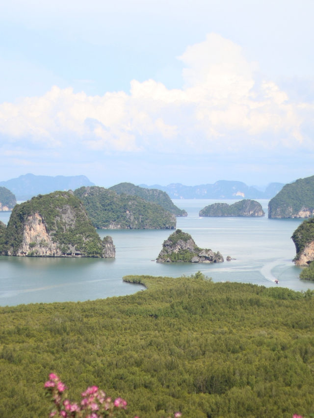 เสม็ดนางชี