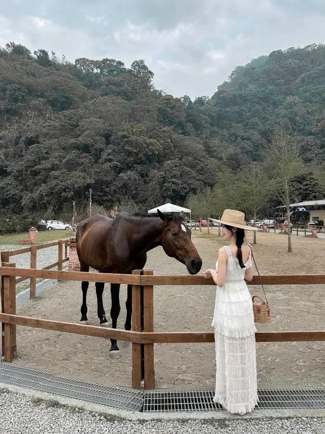 Tainan | Camping-style Café in the Mountains