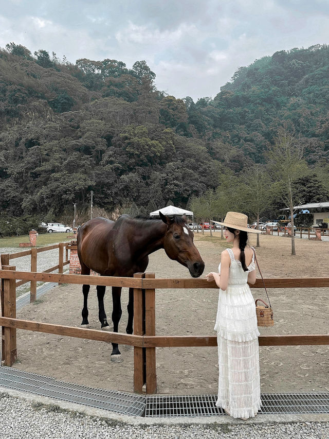 台南｜露營風咖啡廳 山裏🏕️