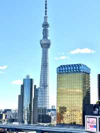 Tokyo เมืองแห่งชีวิตชีวา