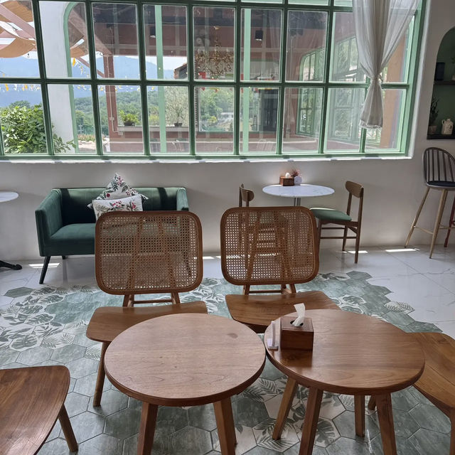 Oliva View De’café