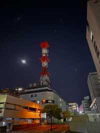 港女五日四夜暴走高松，一日玩三個景點 小丸子都去金多比羅神社，草間彌生南瓜，四國水族館