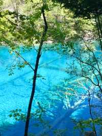 Daocheng Yading Nature Reserve