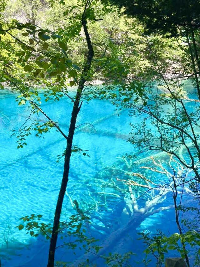 Daocheng Yading Nature Reserve
