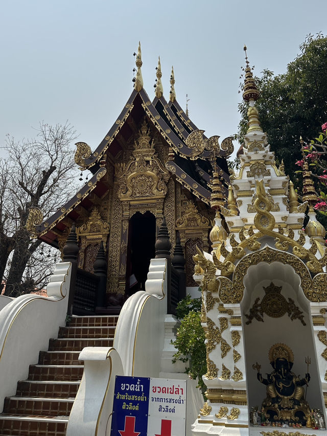 ⭐️ พิกัดวัดดังสายมูใน 1 วัน @เชียงใหม่ ⛰️🍃✨