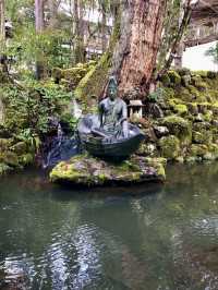 Winter Wonders in Fukui – Temples, Dinosaurs & Peaceful Shrines 