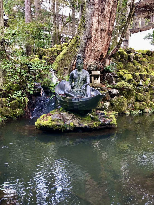 Winter Wonders in Fukui – Temples, Dinosaurs & Peaceful Shrines 