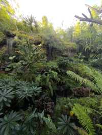 คาเฟ่ลับกลางสวนที่ตากฟ้า 