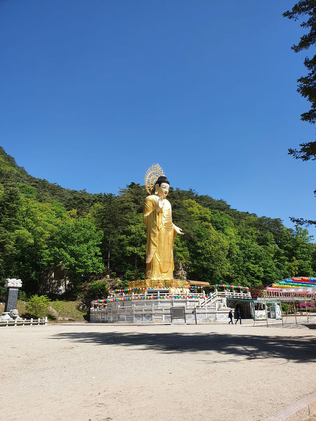 📍 보은 법주사 고즈넉한 사찰 여행기 