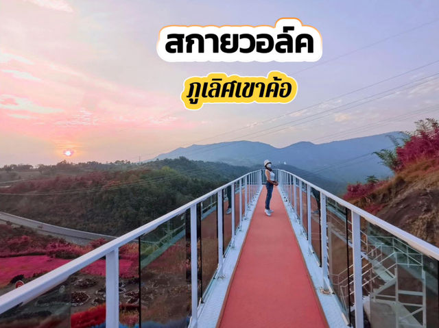 จุดเช็คอินที่ต้องห้ามพลาด @สกายวอล์คภูเลิศ เขาค้อ