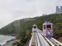 Busan's Sky-High Coastal Dream