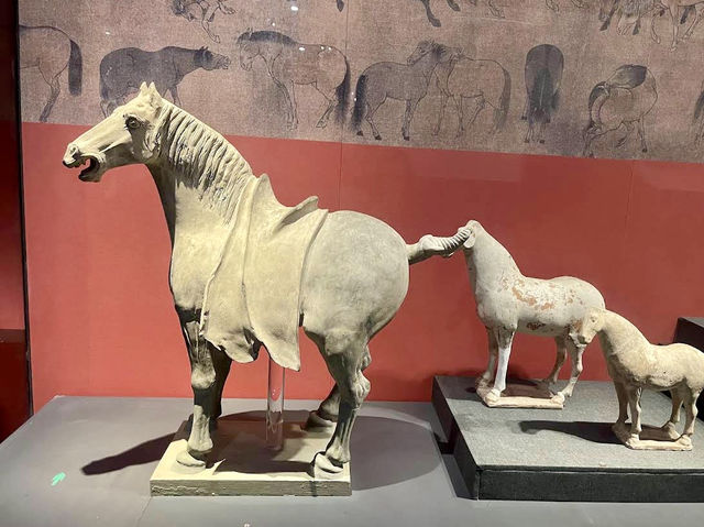 The Wonderful Museum in China