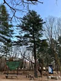 Nami Island: A Serene Escape