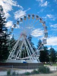 ชมวิวเพลินๆที่ Tourist Wheel