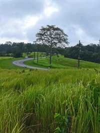 อุทยานแห่งชาติเขาใหญ่ จ.นครราชสีมา