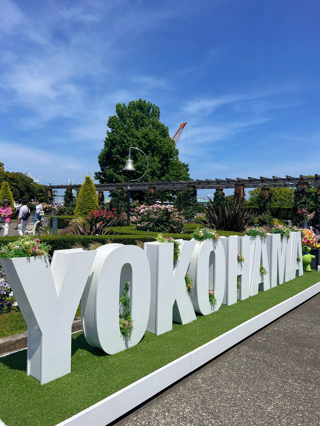 【横浜】今だけ!!ローズガーデンに遊びに行こう!!
