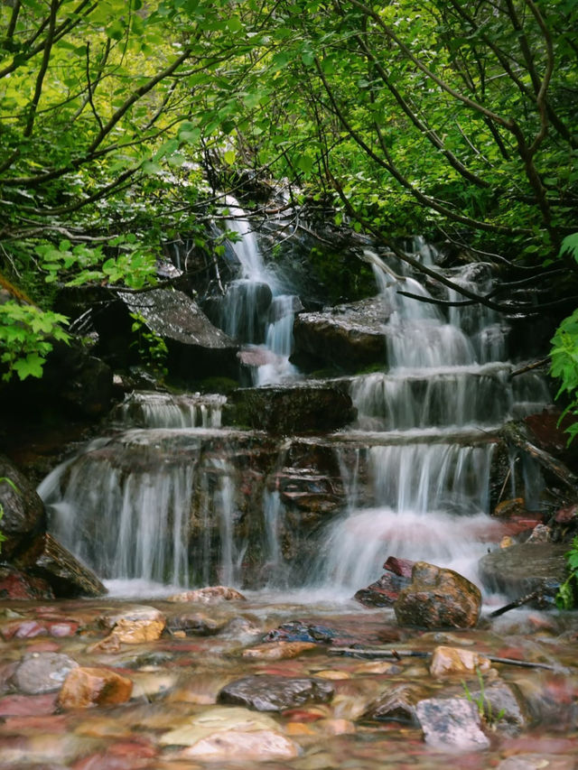Miss This Trail in Glacier National Park and You Haven’t Truly Been There