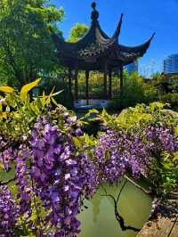 Dr. Sun Yat-Sen Classical Chinese Garden – A Tranquil Oasis in Vancouver’s Chinatown