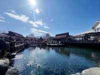Hoshino Hakkai: A Hidden Paradise of Crystal Waters and Fuji Views