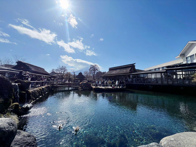 Hoshino Hakkai: A Hidden Paradise of Crystal Waters and Fuji Views