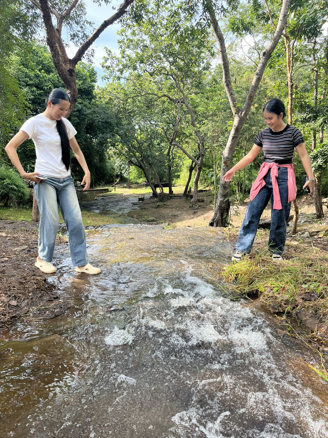 ที่เที่ยวสกลนคร อุทยานภูผายล🌳