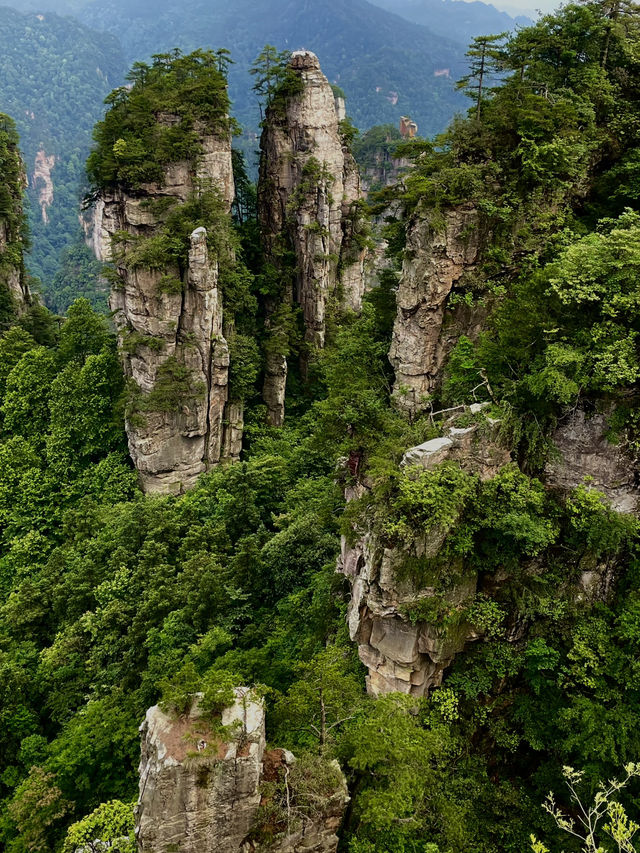 Zhangjiajie National Park is very confusing but it doesn’t need to be!! 