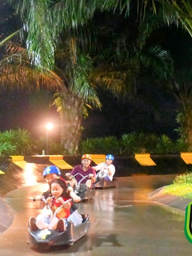 Sky Luge Glow Ride – Evening Family Fun