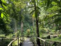 KL’s Hidden Oxygen Paradise | Calling All Outdoor Enthusiasts! 🌿✨