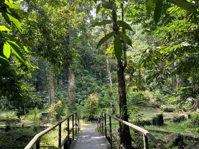 KL’s Hidden Oxygen Paradise | Calling All Outdoor Enthusiasts! 🌿✨