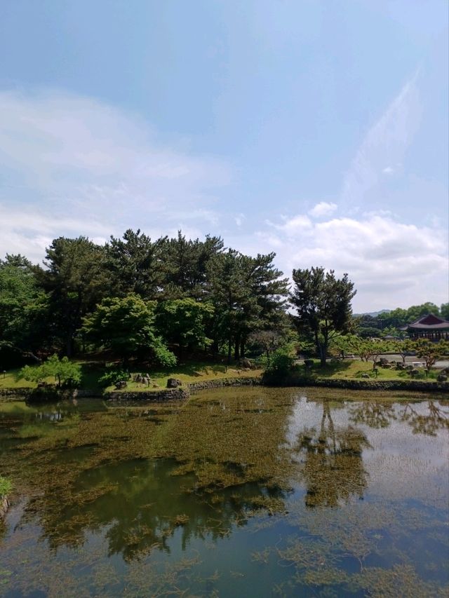 연못 위에 내려앉은 사색, 동궁과 월지의 봄날 산책