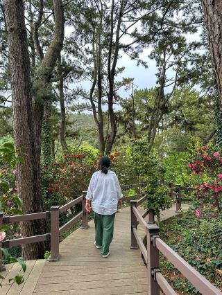 Cheollipo Arboretum: A place with 'Sea Meditation' and 'Forest Meditation' zones.