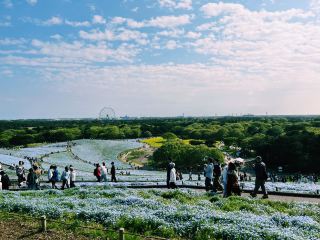 『國營常陸海濱公園』