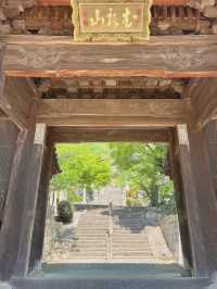 【兵庫/西宮】神を呪う寺…⛩️？！