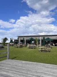 My Autumn Escape at Mountain Ridge Wines, NSW