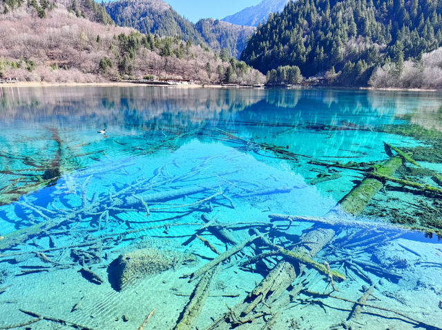 九寨溝➕甘南🇨🇳 夢幻水景與藏地風情的奇妙組合❗️