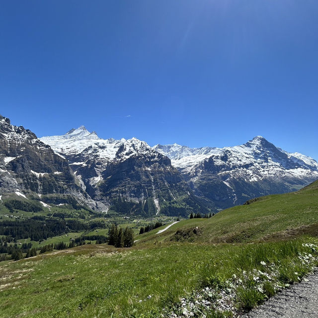 🇨🇭✨ สวิตเซอร์แลนด์ – ดินแดนในฝันที่มีอยู่จริง 🏔️