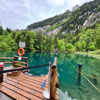 探訪阿爾卑斯山間的秘境～藍湖Blausee