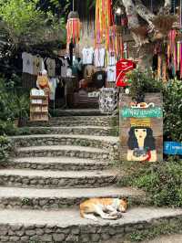 A Day Trip from Chiang Mai: Mae Kampong 