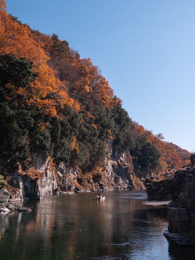 長瀞に秋の紅葉を見に行こうよ