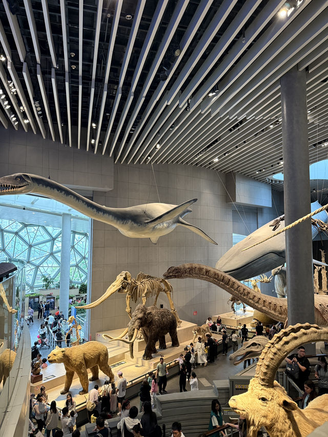 Shanghai Natural History Museum