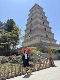 Big wild goose pagoda | เจดีย์ห่านป่าใหญ่