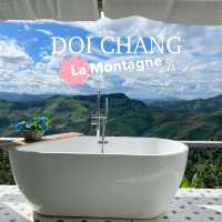 La Montagne ดอยช้าง✨⛰️