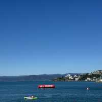 Wellington 1 Days Itinerary
