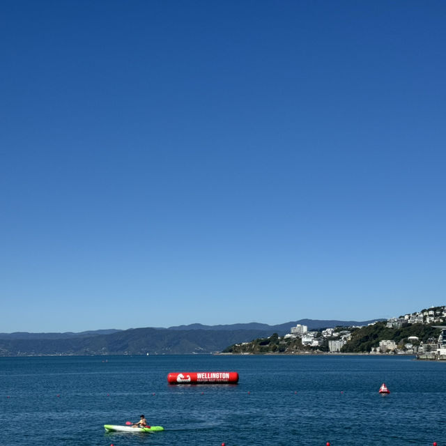 Wellington 1 Days Itinerary