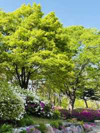 Yeouido Park: A Refreshing Urban Oasis