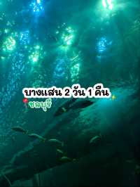 2 วัน 1 คืน บางแสน trip moment 